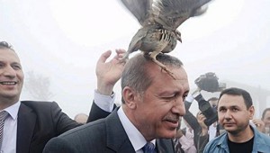 Erdogan_bird_onHead_small.jpg
