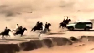 horse_raceAccident_111617.jpg