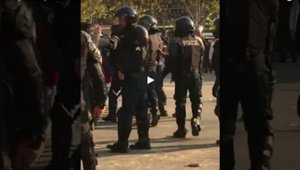 vids_123017.jpg
