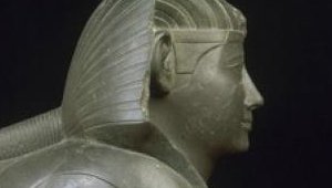 abolhol_022518.jpg