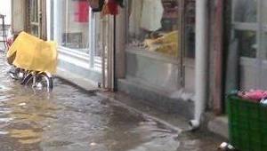 venice_042918.jpg