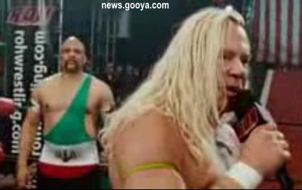 the_wrestler.jpg