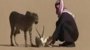 saudiCheetaHunter.jpg