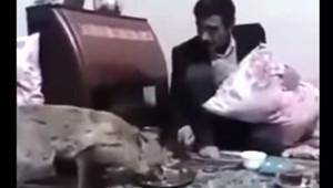 roobahWolfAbgoosht_small.jpg