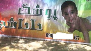 tyh2685985z_small.jpg