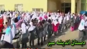 cd3efe3jhj3_small.jpg
