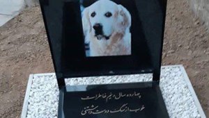 dogGrave_031818.jpg