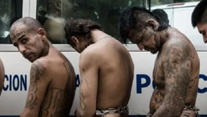 crime_082918.jpg