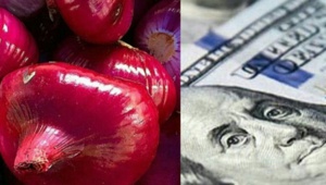 onion_042419.jpg