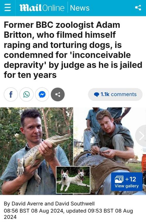 mailonline.jpg