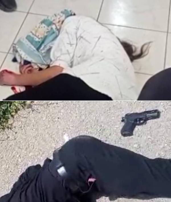 rokna.jpg