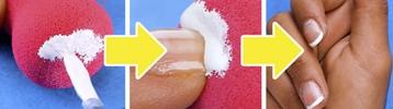banner.jpg