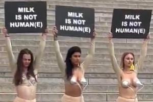 milk.jpg