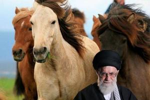 khamhorse.jpg
