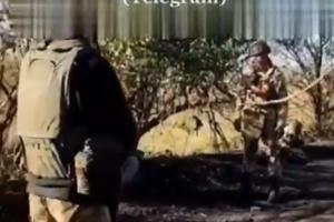 iran.jpg