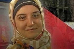 hihab.jpg