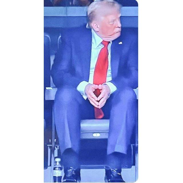 6263671.jpg
