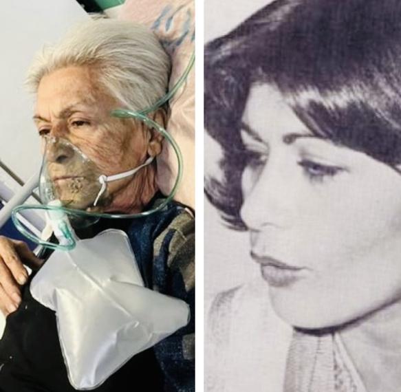 shahrzad.jpg