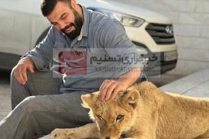 lion.jpg