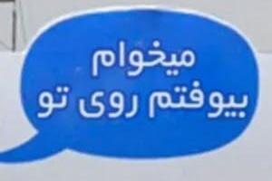 patoo.jpg