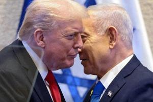 nettrump.jpg