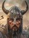 vikings.jpg