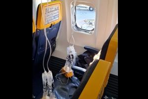 flight.jpg