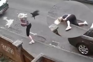 crow.jpg
