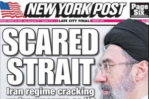 nypbanner.jpg