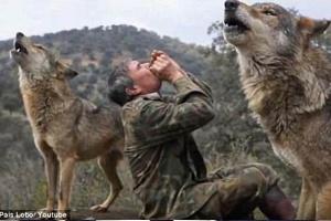 wolfs.jpg