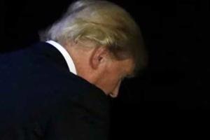 foxtrump.jpg